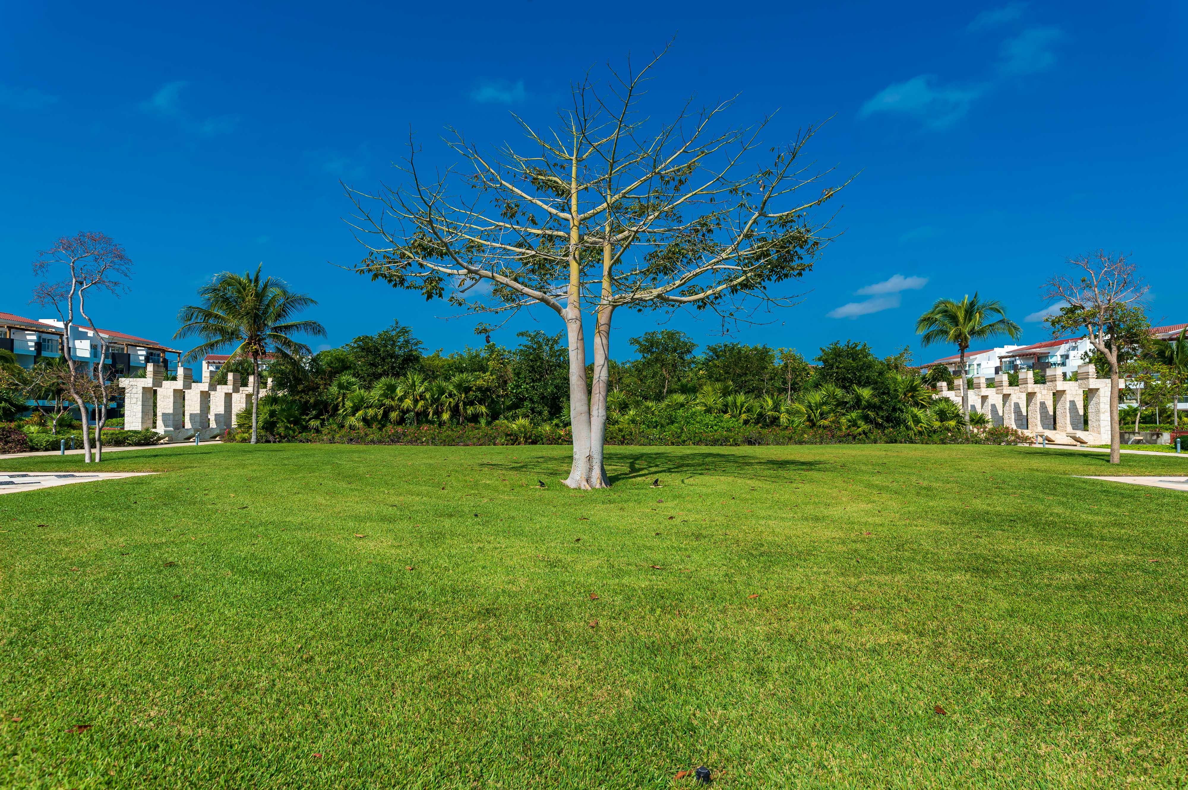 Mareazul Beach Front Resort 신데 델 카르멘 외부 사진